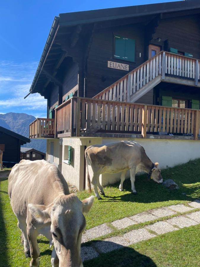 Eliane Bettmeralp Exterior foto
